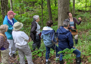 mushroom walk with Tracey Testo