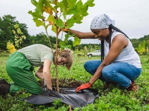 Tree Planting at Mawignack